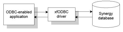 An ODBC-enabled application accessing a Synergy database