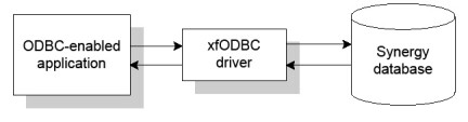 An ODBC-enabled application accessing a Synergy database