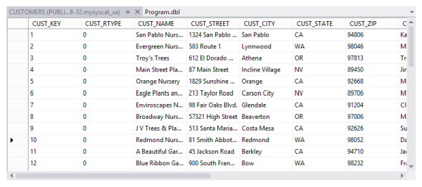 Results of Retrieve Data function for CUSTOMERS table